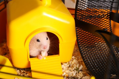 Photo of Cute little hamster inside decorative house in cage