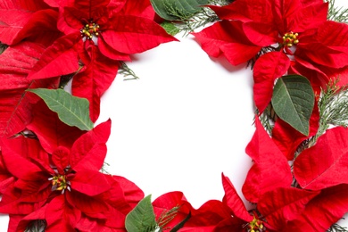 Photo of Flat lay composition with poinsettia and space for text on white background. Traditional Christmas flower