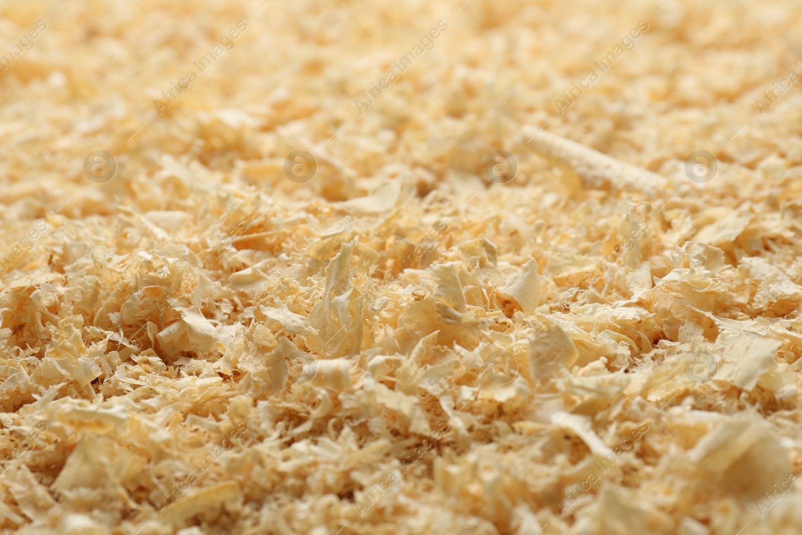 Photo of Dry natural sawdust as background, closeup view