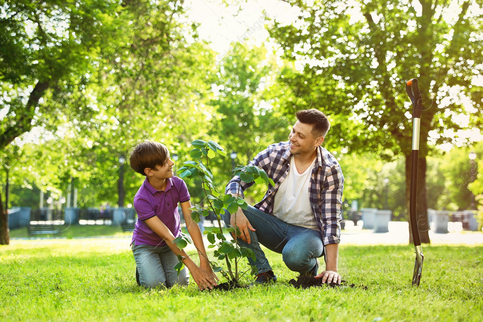 Photo of Dad and son planting tree together in park on sunny day