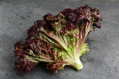 Photo of Head of fresh red coral lettuce on grey table
