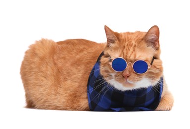 Photo of Cute ginger cat in stylish sunglasses and bandana on white background