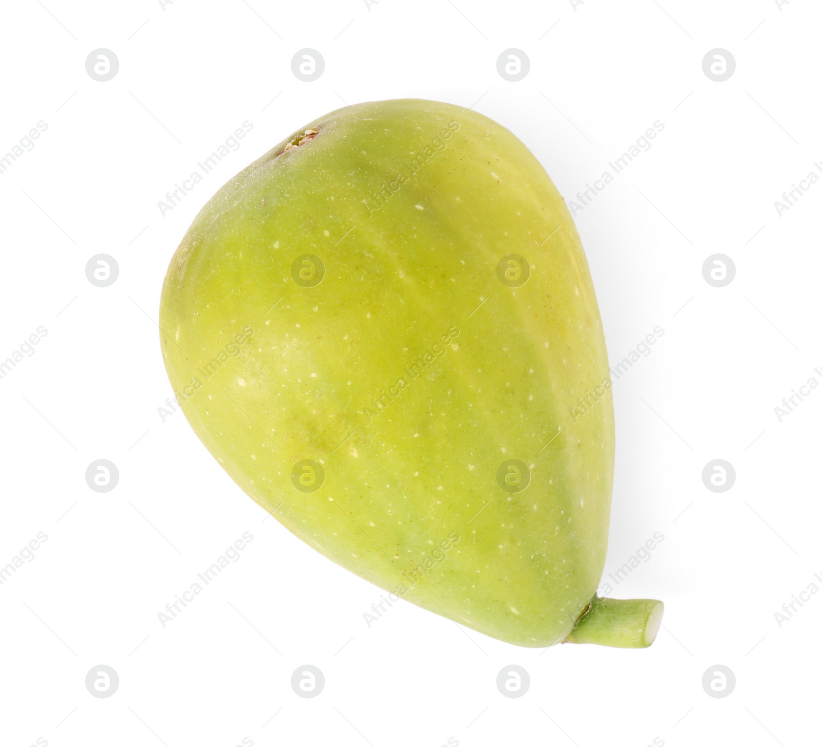 Photo of One fresh green fig isolated on white, top view