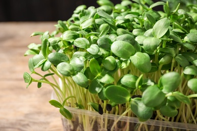 Photo of Fresh organic microgreen on wooden table, closeup