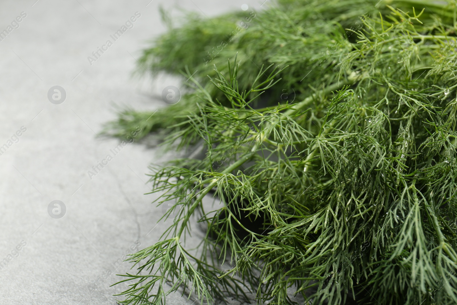 Photo of Fresh green dill on light grey table, closeup. Space for text