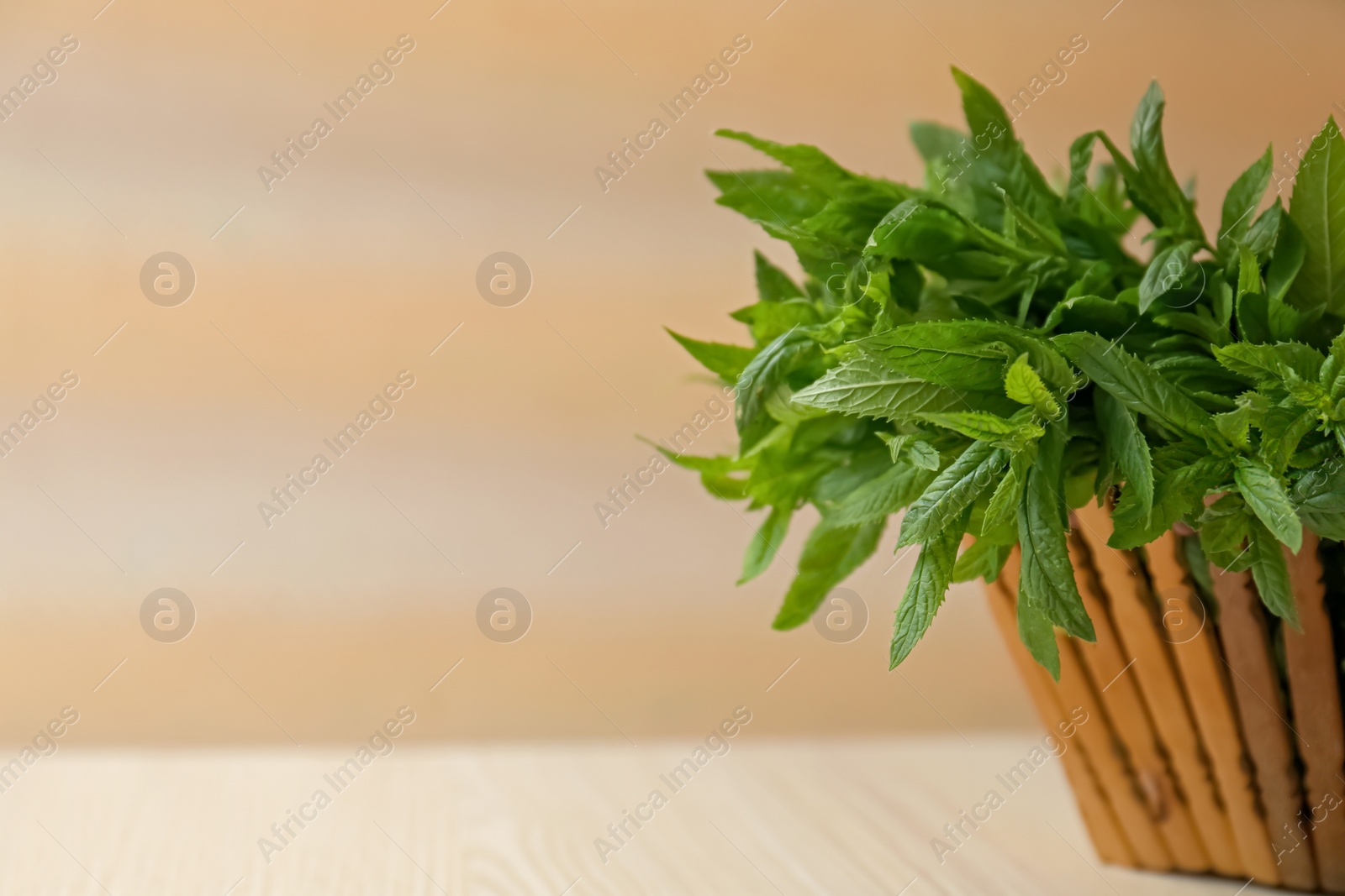 Photo of Beautiful green mint in basket on white wooden table, closeup. Space for text