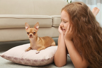 Photo of Cute little child with her Chihuahua dog at home. Adorable pet