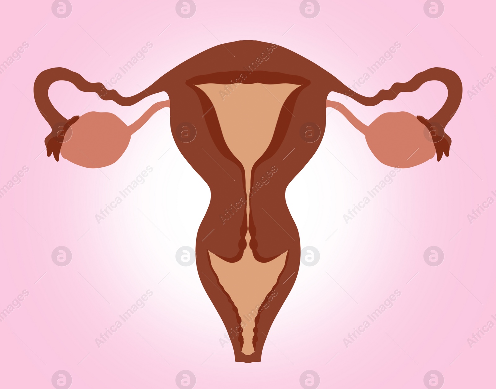 Image of Female reproductive system on pink gradient background, illustration