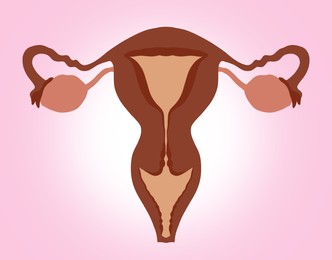 Image of Female reproductive system on pink gradient background, illustration