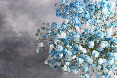 Photo of Beautiful dyed gypsophila flowers on light grey background, closeup. Space for text