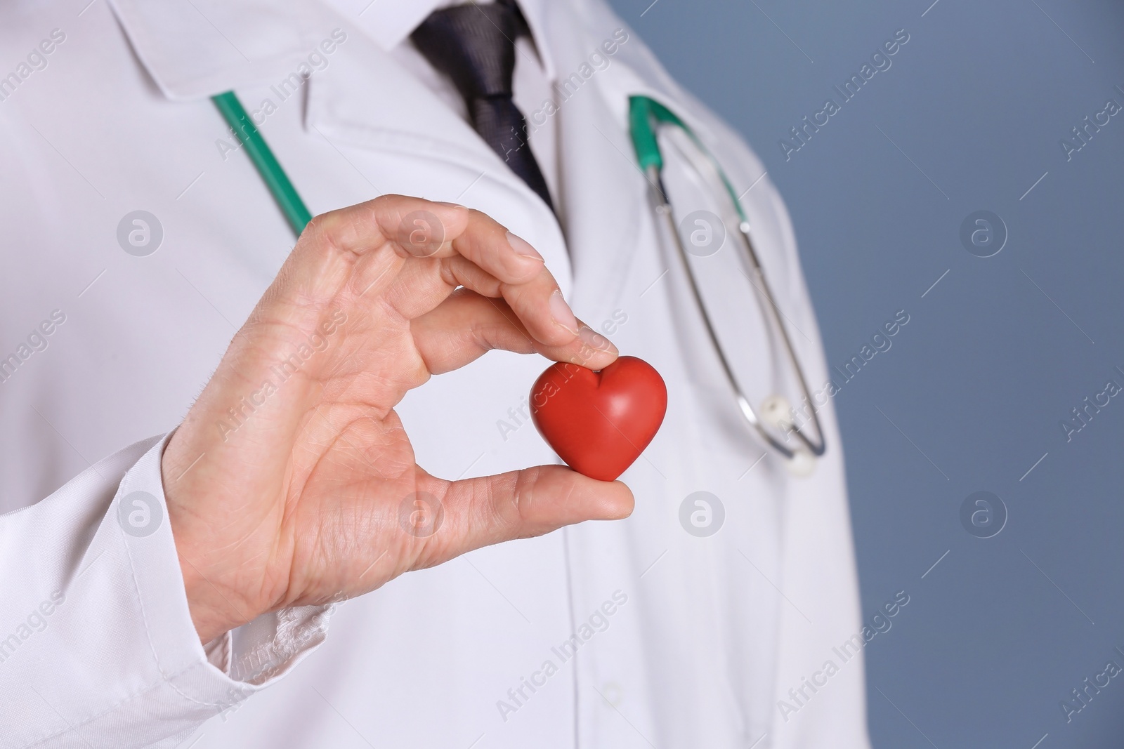 Photo of Doctor holding small heart, closeup. Prevent heart attack