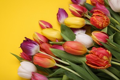 Photo of Beautiful colorful tulip flowers on yellow background, closeup