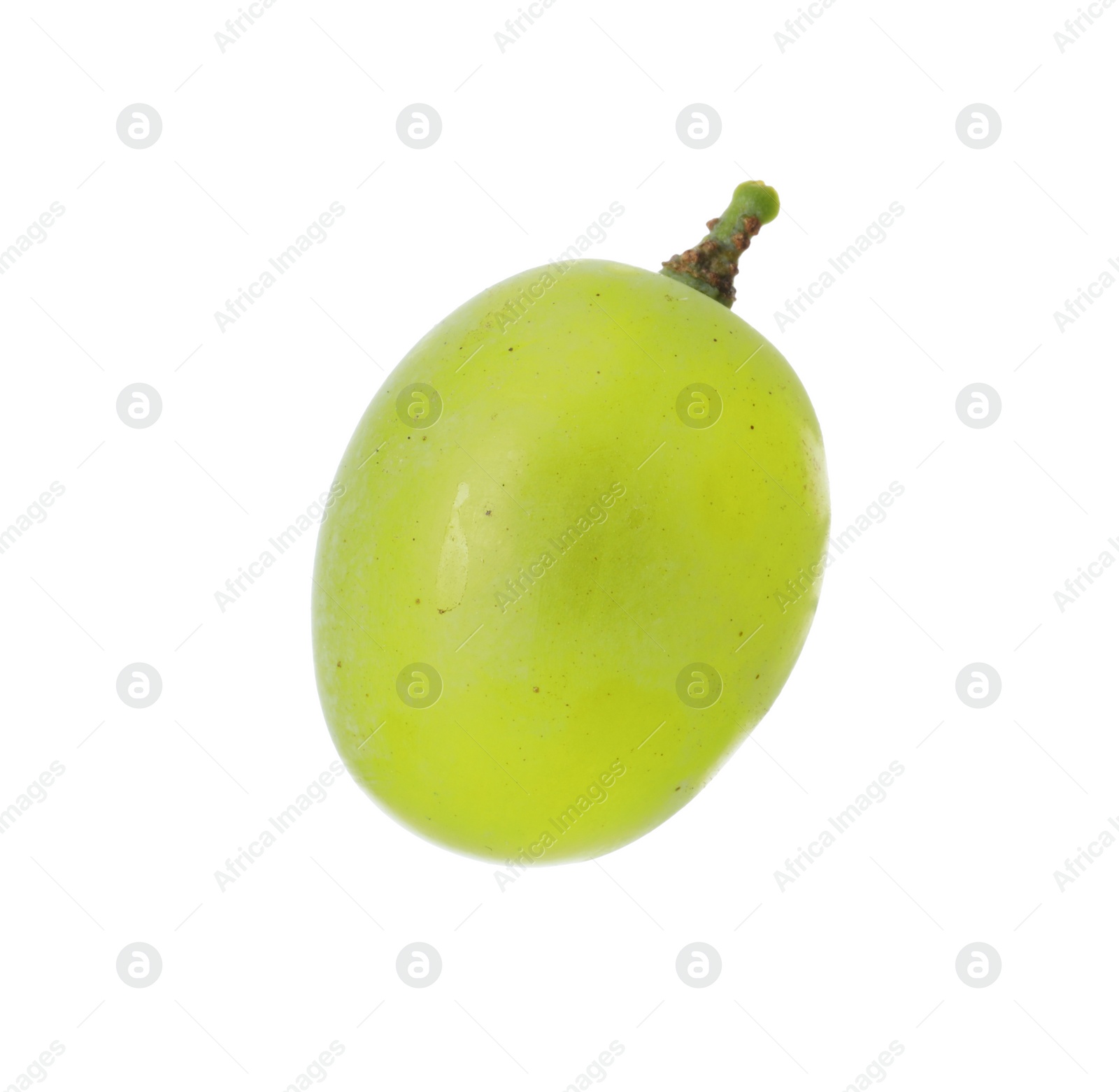 Photo of One ripe green grape isolated on white