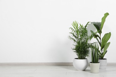 Many different houseplants in pots on floor near white wall indoors, space for text