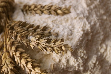 Photo of Pile of wheat flour and spikes, closeup view. Space for text