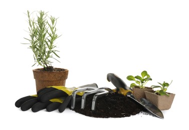 Different modern gardening tools on white background