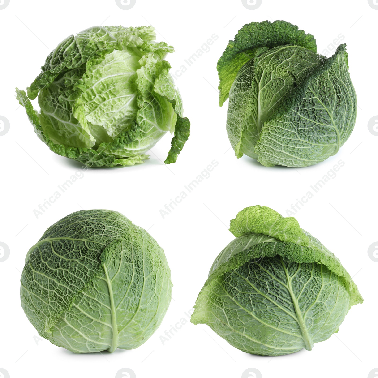 Image of Set of fresh ripe cabbages on white background