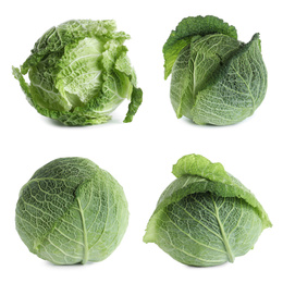 Image of Set of fresh ripe cabbages on white background