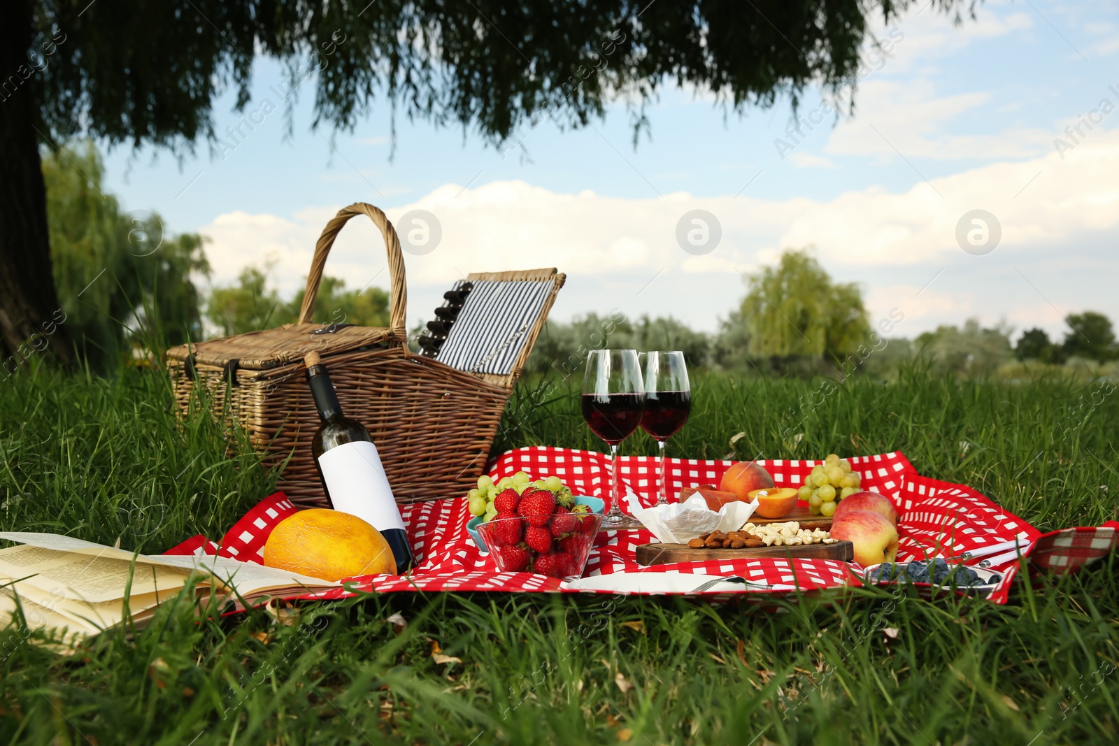 Photo of Picnic blanket with delicious food and wine in park