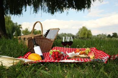 Photo of Picnic blanket with delicious food and wine in park