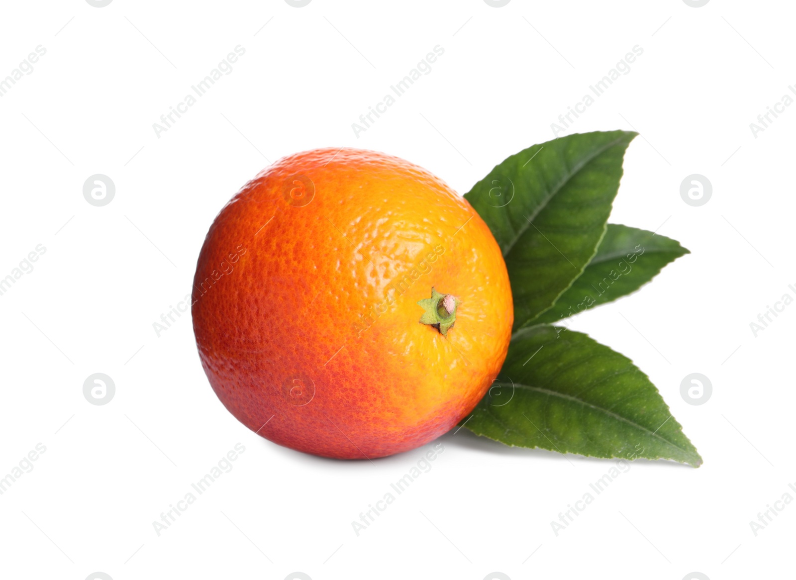 Photo of Whole ripe red orange with green leaves on white background