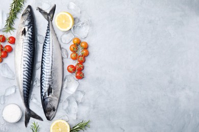 Photo of Raw mackerel, tomatoes and rosemary on light gray table, flat lay. Space for text