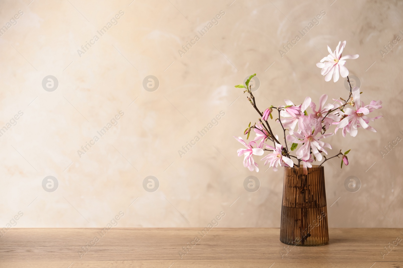 Photo of Magnolia tree branches with beautiful flowers in glass vase on wooden table against beige background, space for text