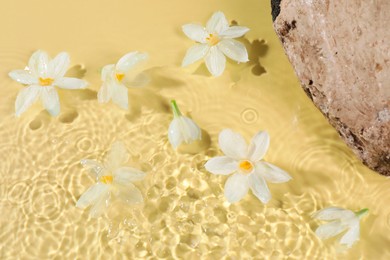 Photo of Beautiful daffodils and stone in water on pale yellow background