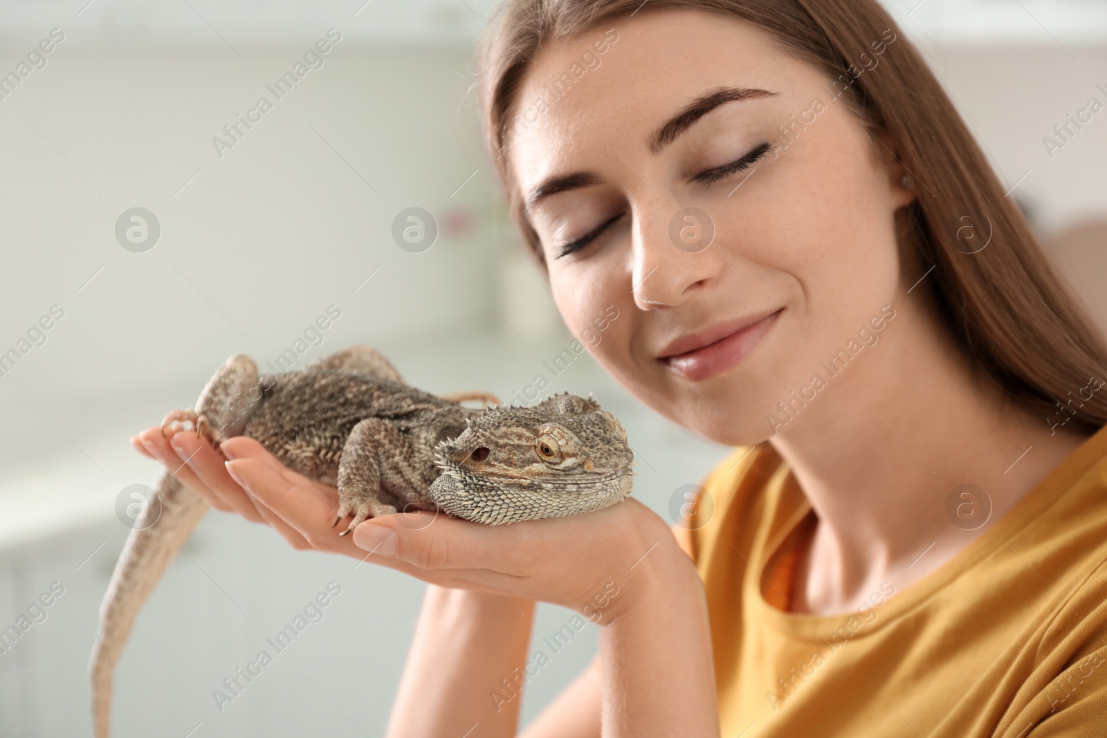 Photo of Woman holding bearded lizard indoors, closeup. Exotic pet