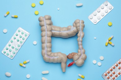 Photo of Anatomical model of large intestine and pills on light blue background, flat lay