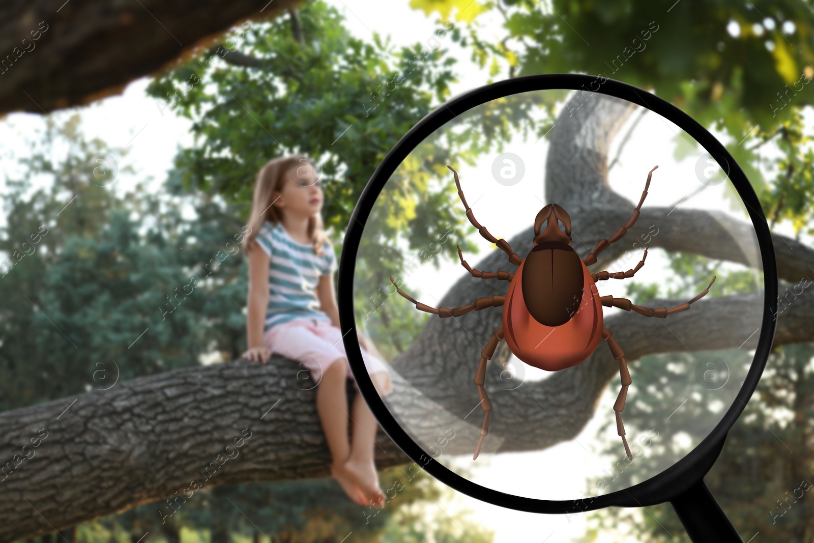 Image of Seasonal hazard of outdoor recreation. Girl sitting on tree branch outdoors. Illustration of magnifying glass with tick, selective focus