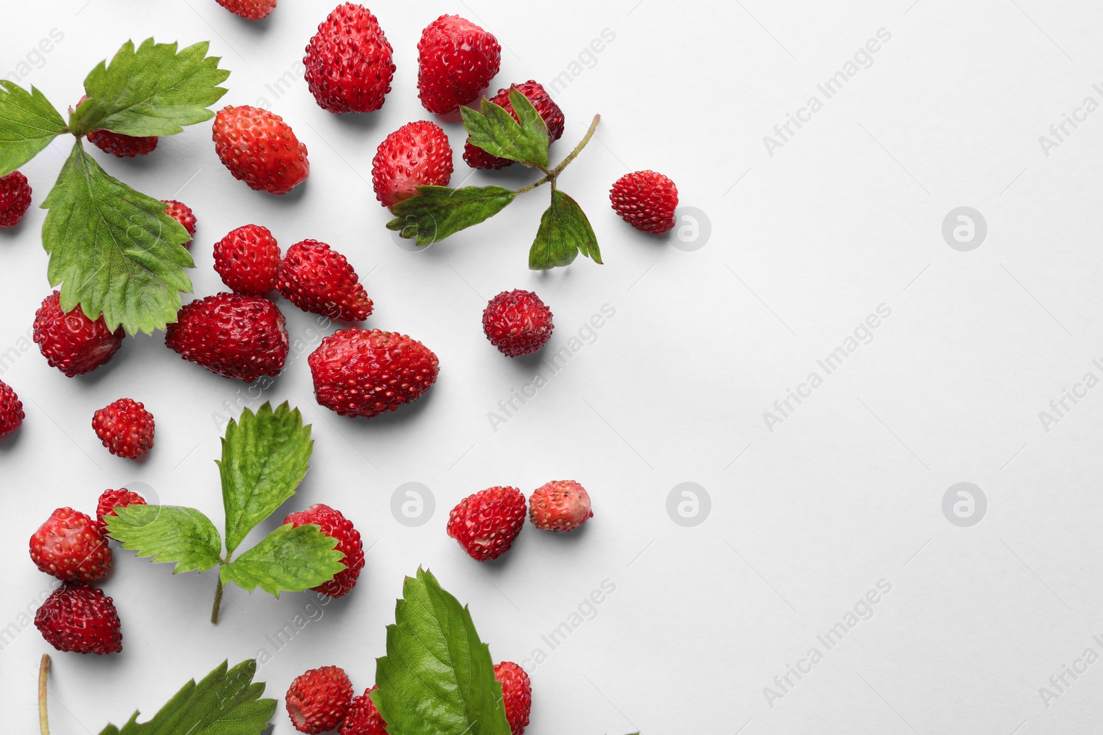 Photo of Many fresh wild strawberries and leaves on white background, flat lay. Space for text