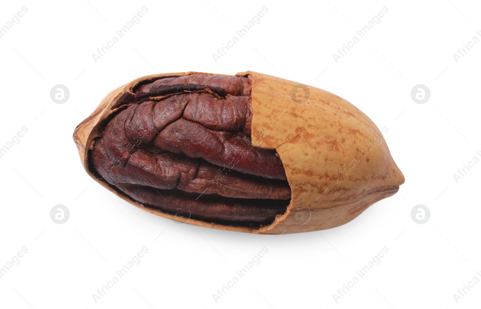 Photo of Tasty pecan nut with shell isolated on white, top view