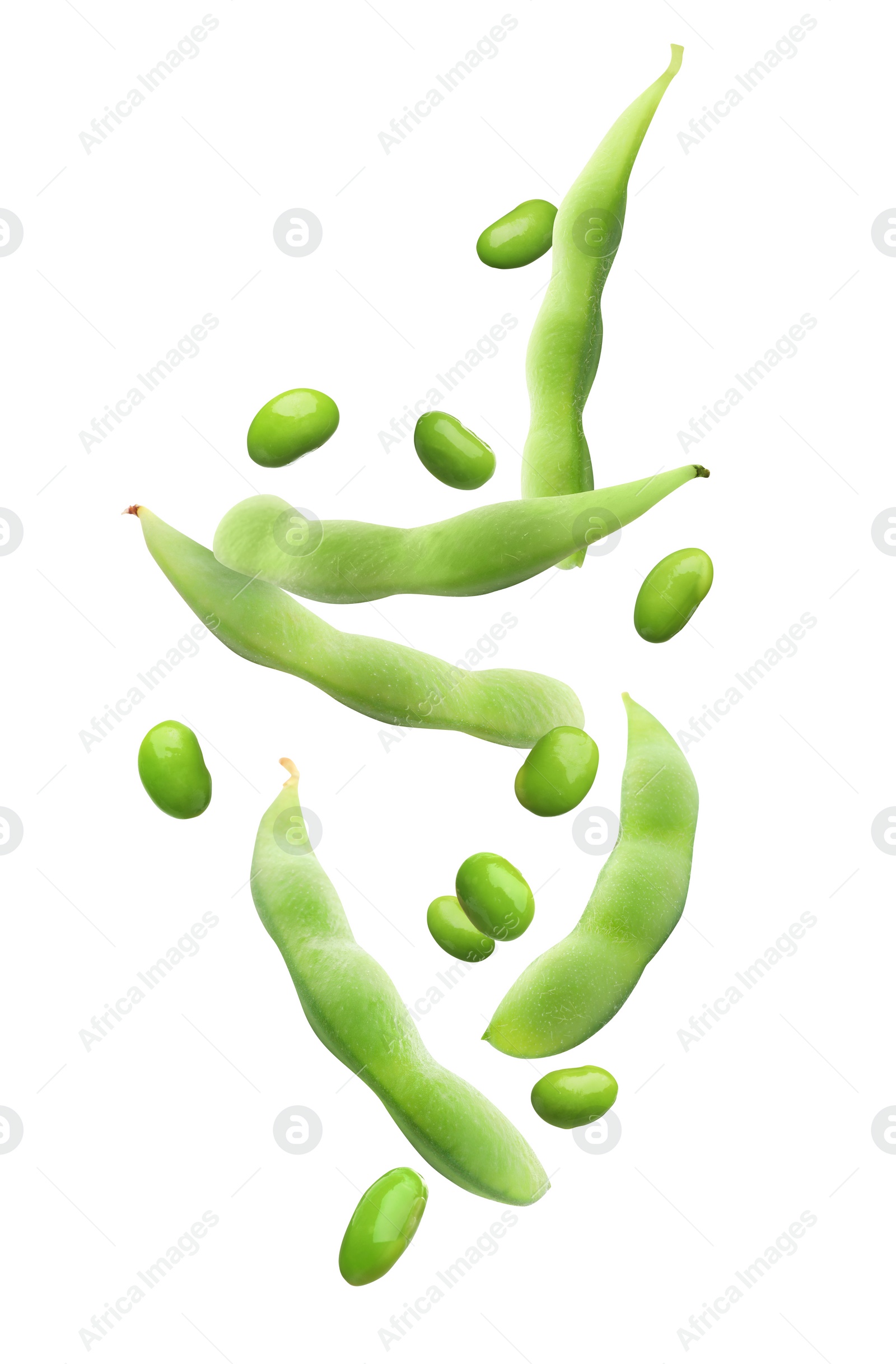 Image of Fresh edamame soybeans and pods falling on white background