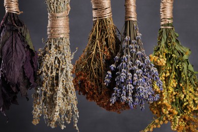 Photo of Many different herbs and flowers hanging on grey background, closeup