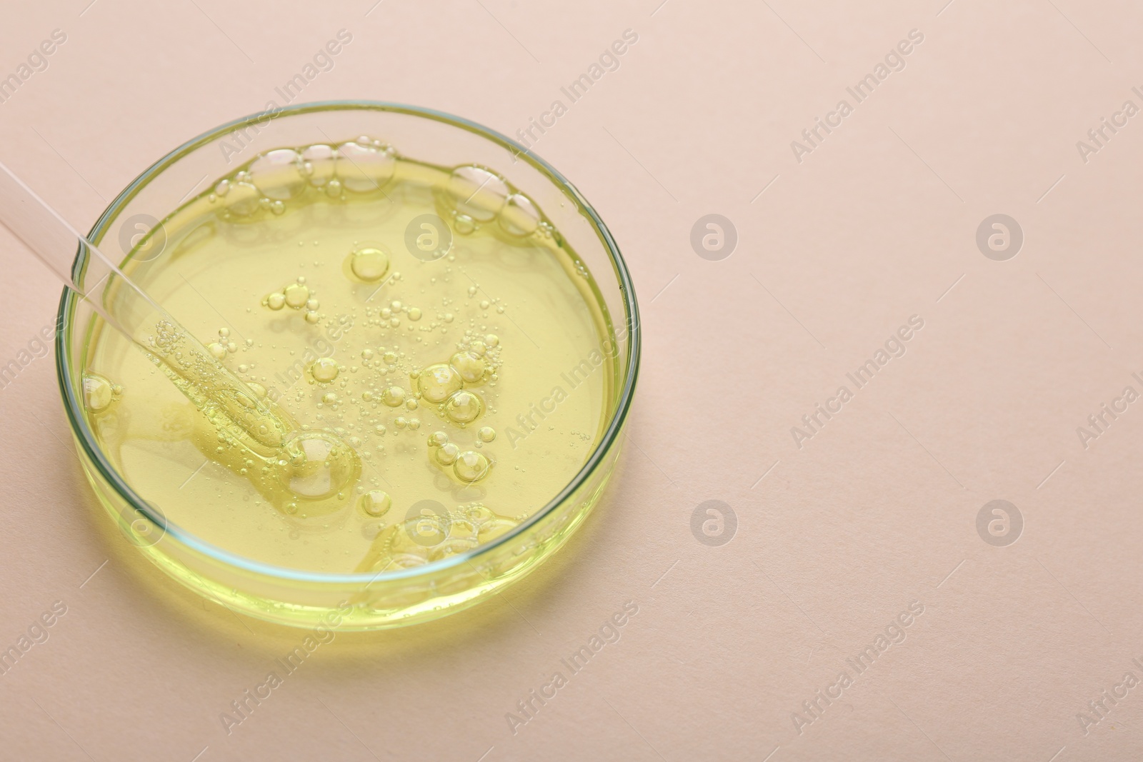 Photo of Petri dish with color liquid sample and pipette on beige background, closeup. Space for text