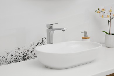Image of White wall affected with mold. White washbasin, orchid flowers and soap dispenser in bathroom