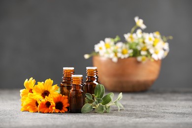 Bottles with essential oils, flowers and sage on grey textured table. Space for text