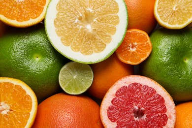 Different fresh whole and cut citrus fruits as background, top view