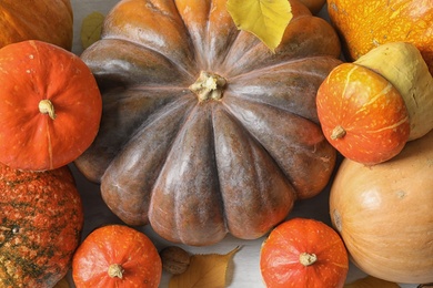 Photo of Many different pumpkins as background, closeup. Autumn holidays