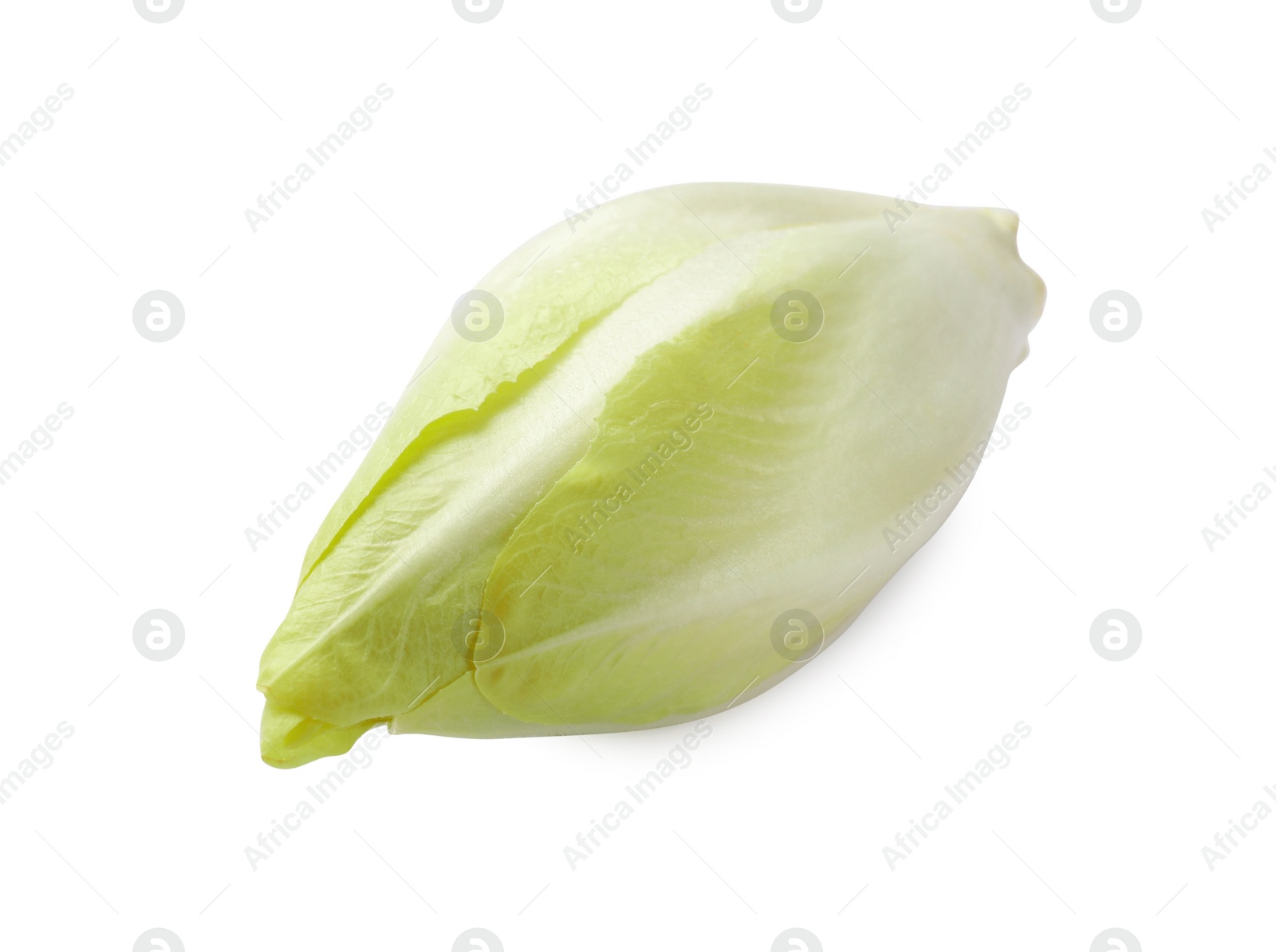 Photo of One raw ripe chicory isolated on white