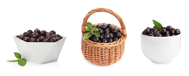 Image of Set of fresh acai berries in bowls and basket on white background. Banner design 