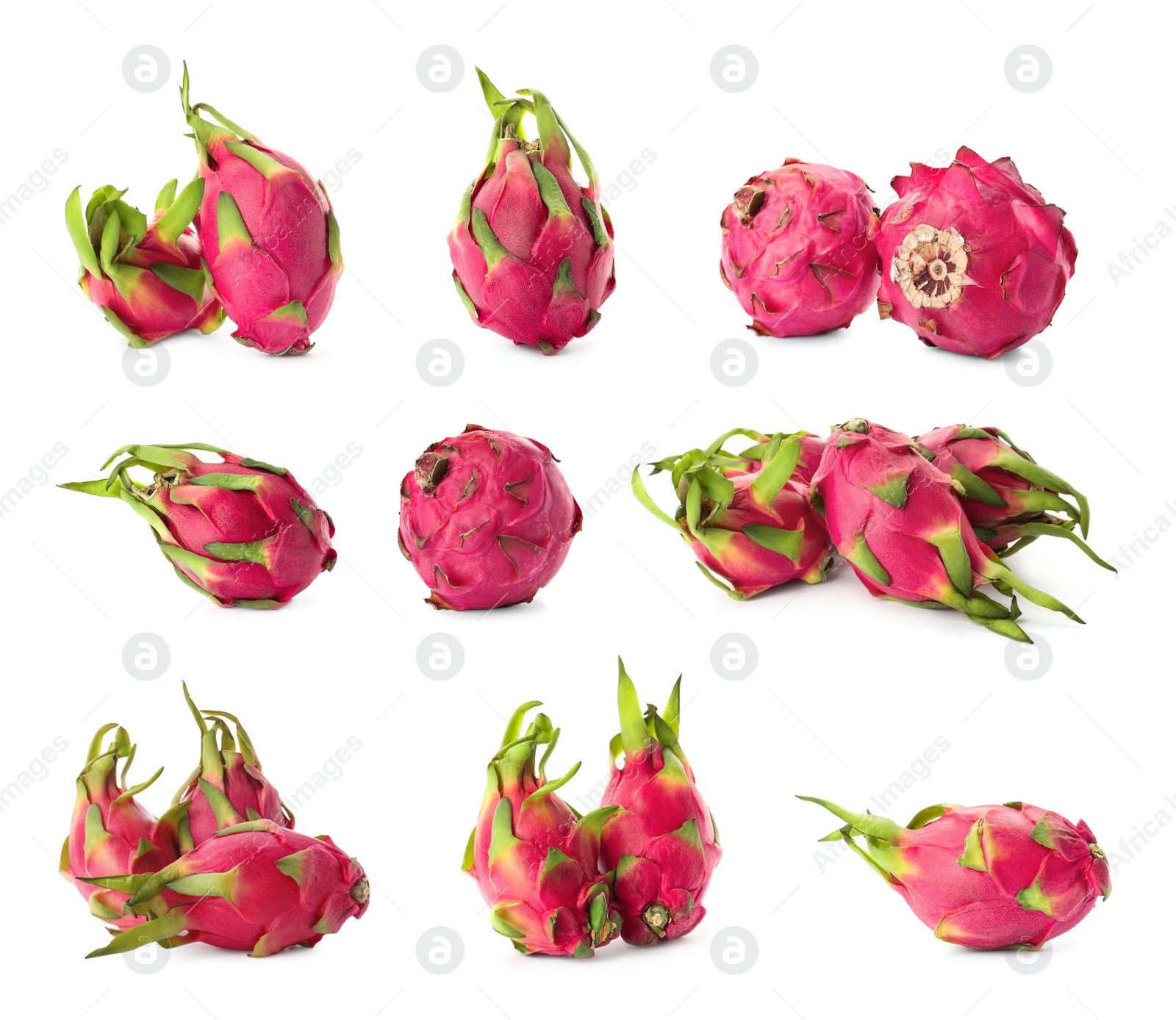 Image of Set with delicious pink dragon fruits (pitahaya) on white background