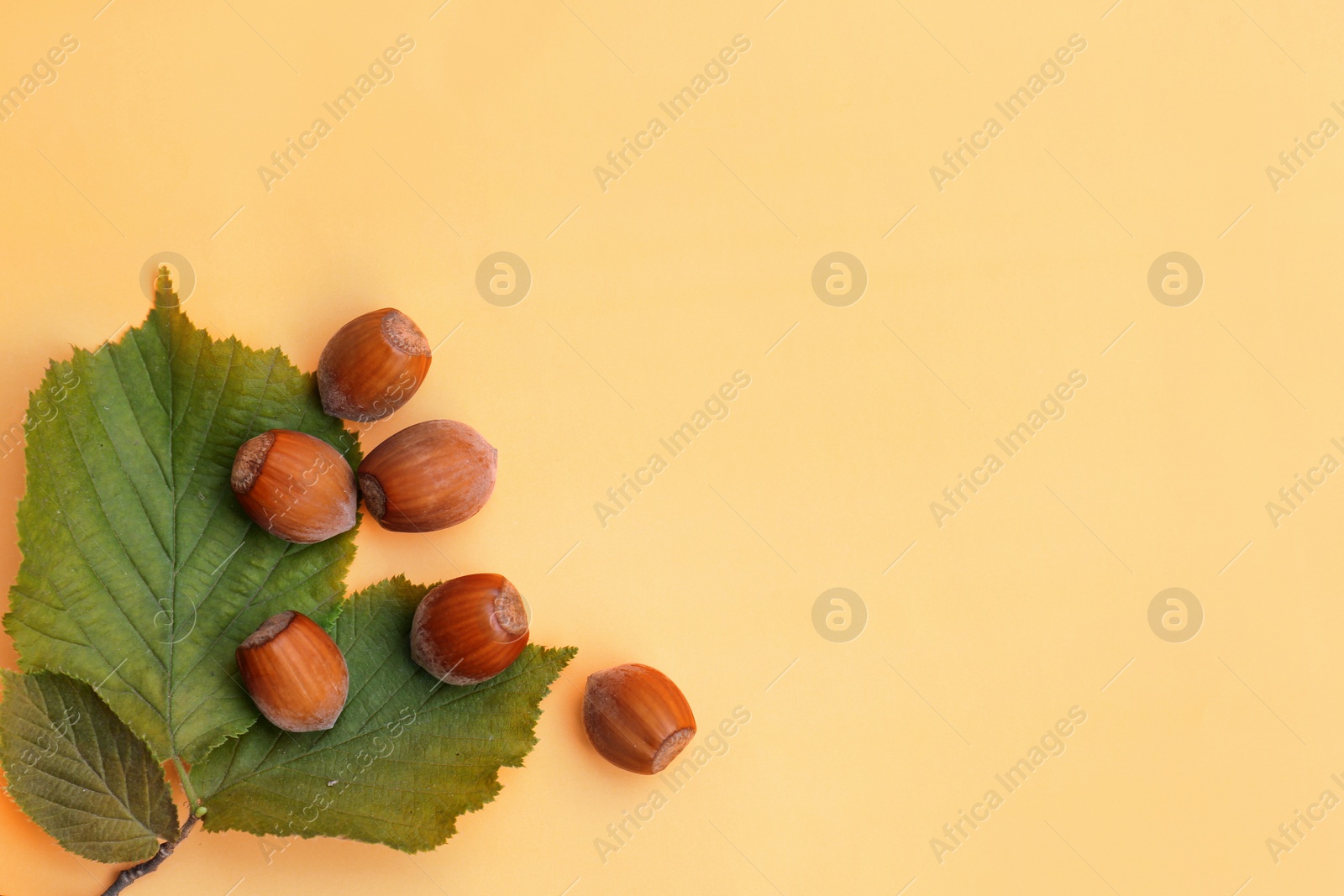 Photo of Tasty organic hazelnuts and leaves on pale orange background, flat lay. Space for text