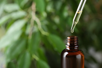 Essential oil dripping from pipette into bottle on blurred background, closeup. Space for text