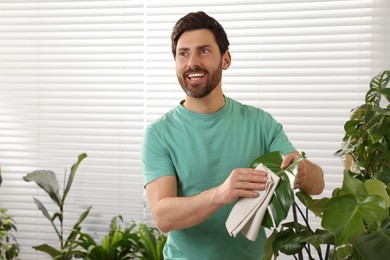 Man wiping leaves of beautiful potted houseplants with cloth indoors