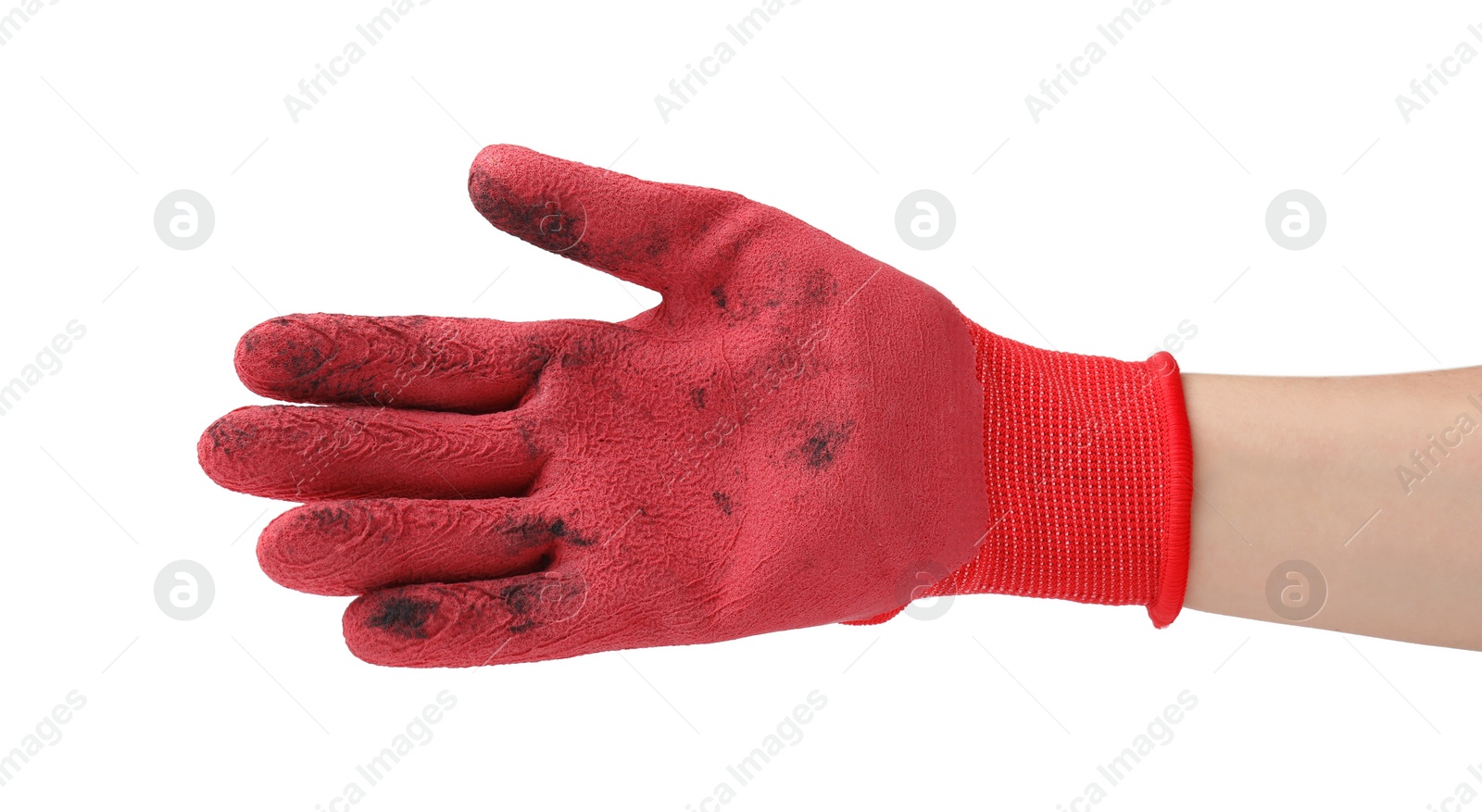 Photo of Woman in gardening glove on white background, closeup