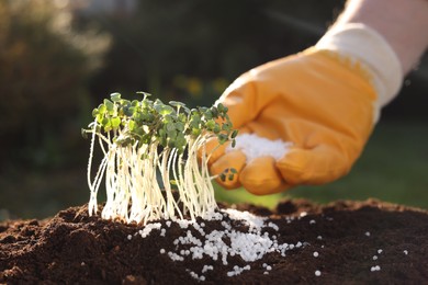 Photo of Man fertilizing soil with growing young microgreens on sunny day, selective focus