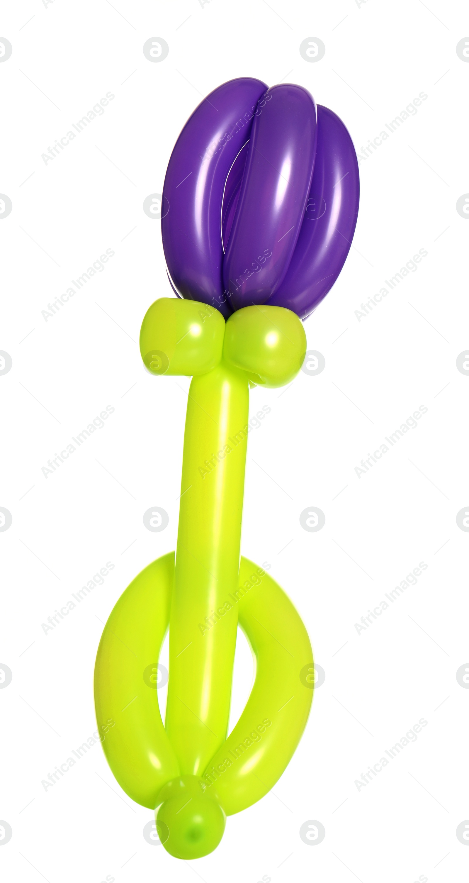 Photo of Flower figure made of modelling balloon on white background