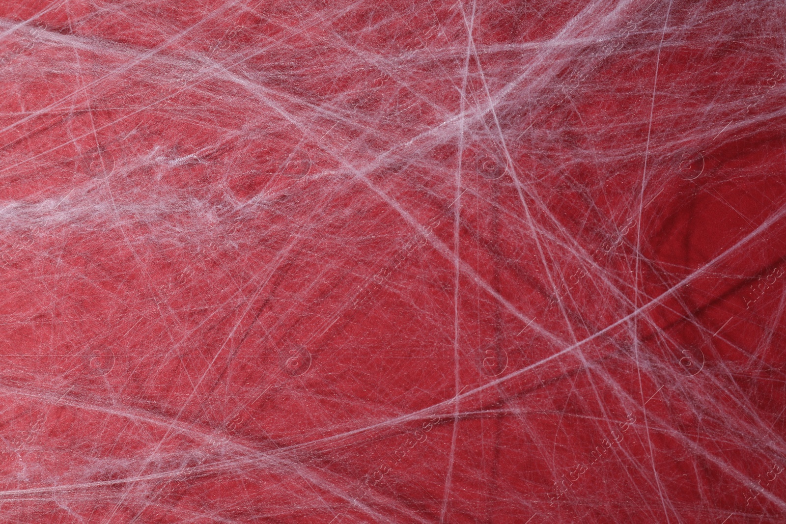 Photo of Creepy white cobweb hanging on red background